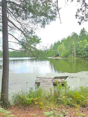 8659n BLUE GILL LAKE RD, Winter, WI 54896