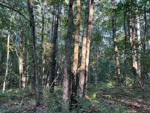 N Caribou Trail, Irons, MI 49644
