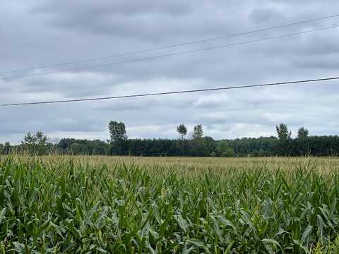 0 W 80th W, Fremont, MI 49412