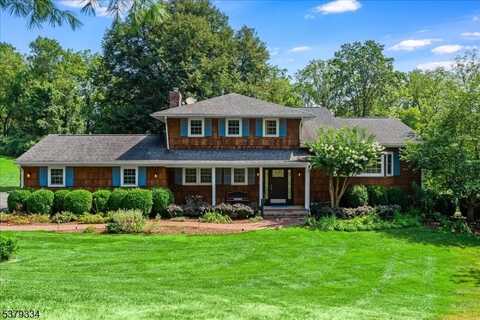 6 Serpentine Dr, Union, NJ 08809