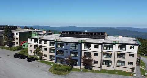 314 A Snowcrest, Snowshoe, WV 26209