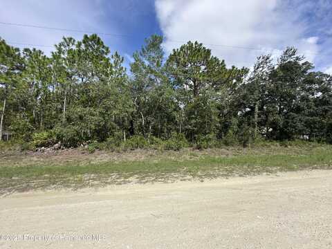 Magpie Road, Weeki Wachee, FL 34614