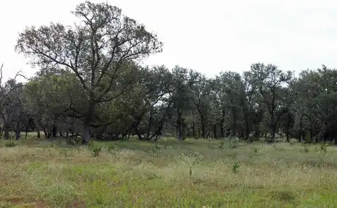 4585 NW CR 108 Road, Burnet, TX 78611
