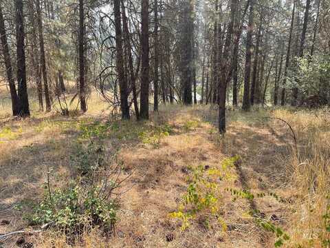 Tbd Upper Fitchs Point Rd, Garden Valley, ID 83622