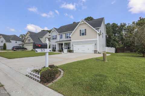 313 Bear Run, Maple Hill, NC 28454