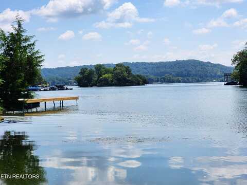E Shore Drive, Rockwood, TN 37854