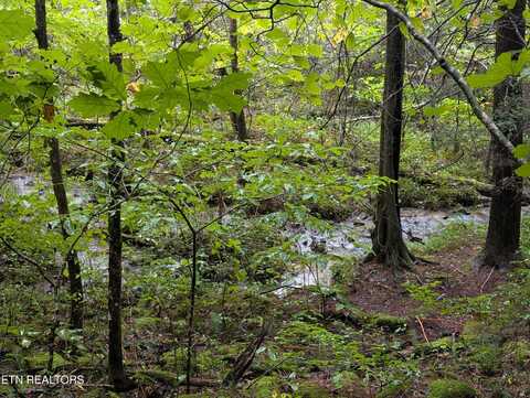 Catoosa Drive- Lot 27, Lancing, TN 37770