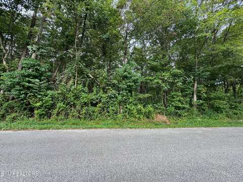 Old Wolf River Rd, Jamestown, TN 38556