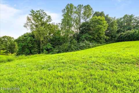 Cross View Lane, La Follette, TN 37766