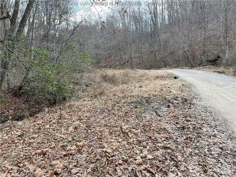Rt 64 Upton Creek Road, Spurlockville, WV 25565