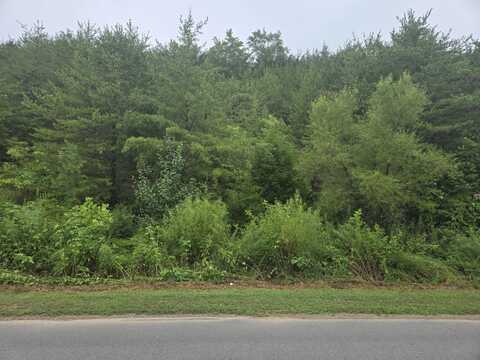 Marina Landing Road, Tazewell, TN 37879