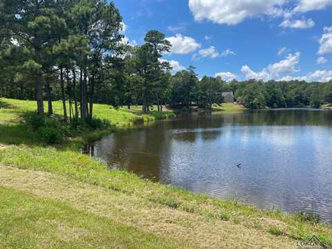Tbd Maggie Ln., Gilmer, TX 75644