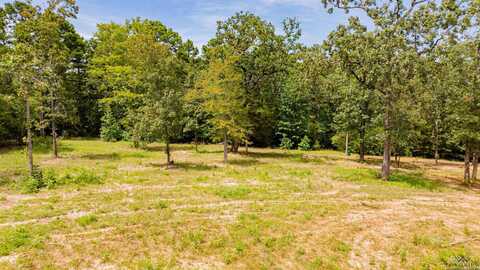 481 Lake Gladewater Rd, Gladewater, TX 75647