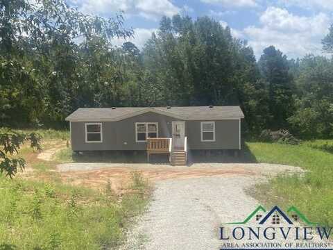 116 E Basil Dr, Diana, TX 75640