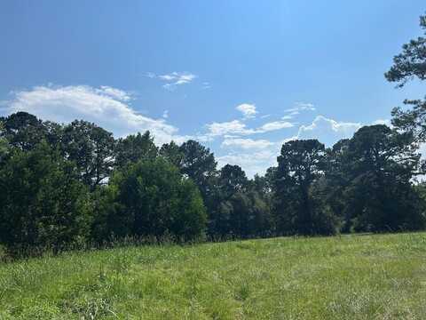 0 Wansley Rd, Laurel, MS 39443