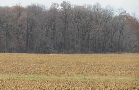 State Rd 234, Cayuga, IN 47928