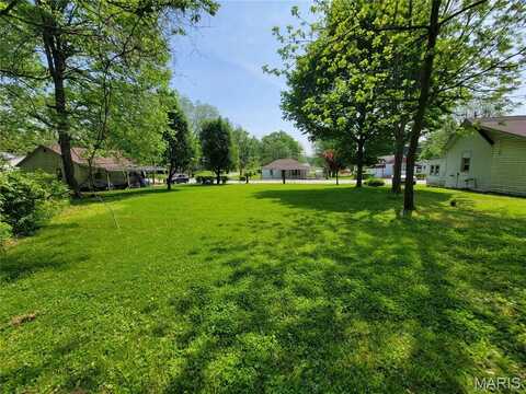 409 South D Street, Louisiana, MO 63379