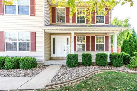 8201 Bristol Valley Drive, O'fallon, MO 63376