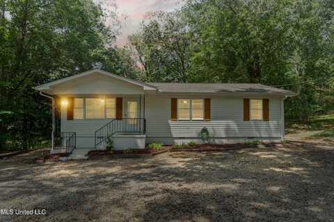 670 S Thunderbird Drive, Hernando, MS 38632