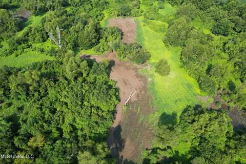 Old Twin Lake Road, Vicksburg, MS 39183