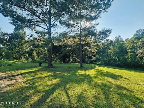 146 Hundred Acre Road, Neely, MS 39461