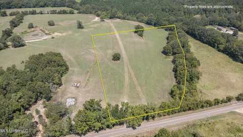 Peyton Road, Coldwater, MS 38618