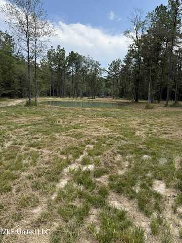 400-B New Hope Road, Wiggins, MS 39577