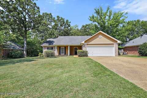 232 Mallard Drive, Brandon, MS 39047