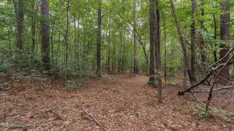 1270 Hwy 469, Pearl, MS 39208
