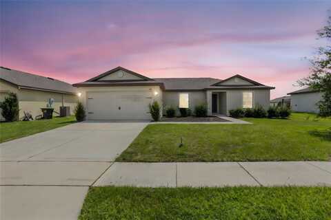 1172 MOYLE WAY, MASCOTTE, FL 34753