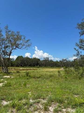 LAKE YALE ROAD, UMATILLA, FL 32784