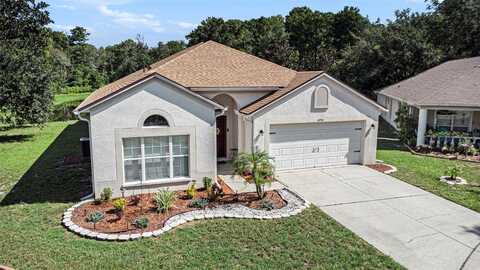 10954 MAY APPLE COURT, LAND O LAKES, FL 34638