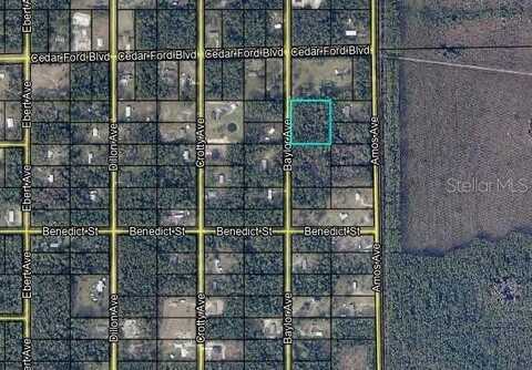 10420 BAYLOR AVENUE, HASTINGS, FL 32145