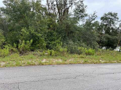 Lot 449 SW SHOREWOOD DRIVE, DUNNELLON, FL 34431