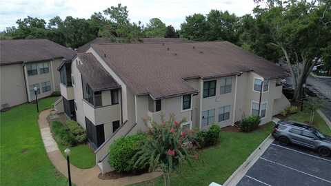 3019 ANTIQUE OAKS CIRCLE, WINTER PARK, FL 32792
