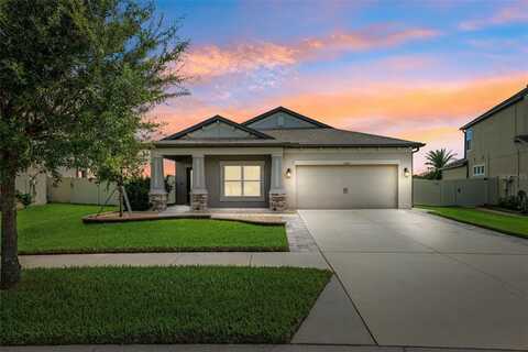 31031 PARROT REEF COURT, WESLEY CHAPEL, FL 33545