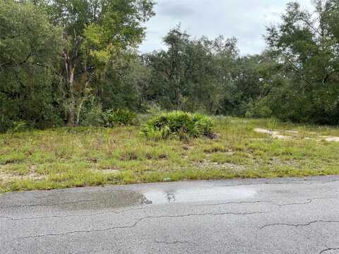 Lot 452 SW SHOREWOOD DRIVE, DUNNELLON, FL 34431