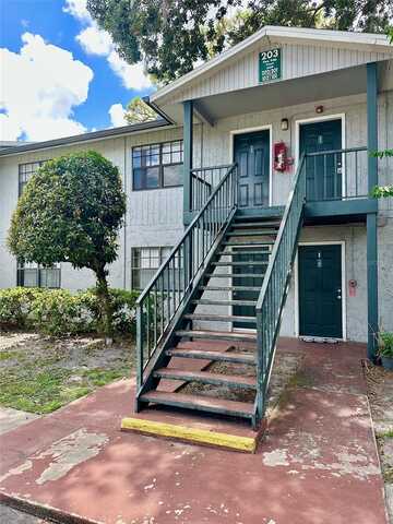 203 PINE TULIP COURT, TAMPA, FL 33612
