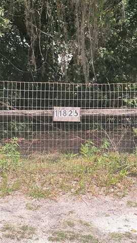 11825 NE 235TH STREET, FORT MC COY, FL 32134