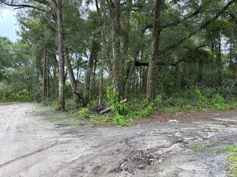 0000 SE 43RD TERRACE, SUMMERFIELD, FL 34491