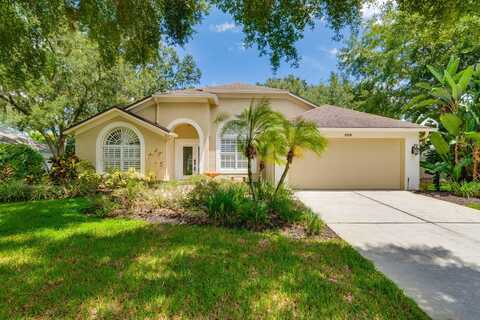 15209 ARBOR HOLLOW DRIVE, ODESSA, FL 33556