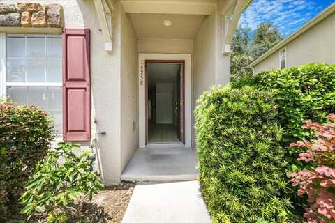 15758 FISHHAWK FALLS DRIVE, LITHIA, FL 33547