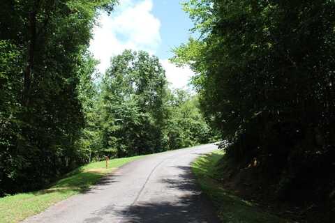 Lot 62 Lot 62 Dan Knob Overlook, HAYESVILLE, NC 28904