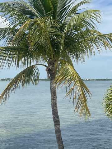 29420 Enterprise Avenue, Big Pine Key, FL 33043