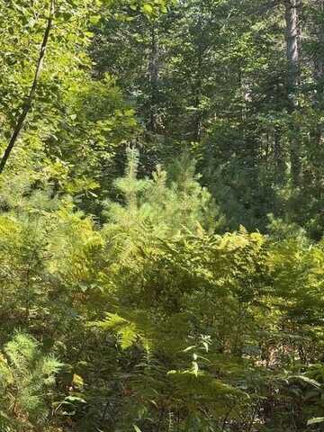 R-3 P/O 7c Old Dresden Road, Wiscasset, ME 04578