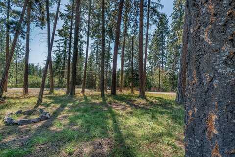 NHN Yenne Point Road, Bigfork, MT 59911