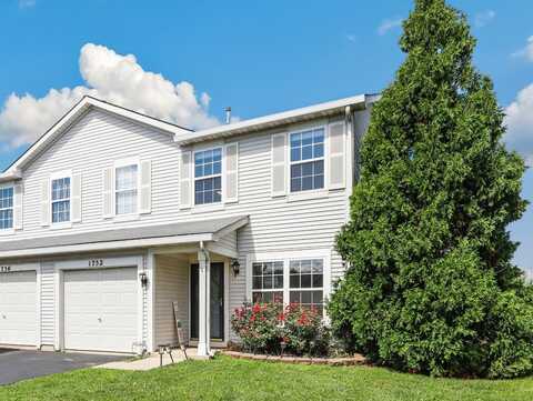 1752 Raleigh Trail, Romeoville, IL 60446