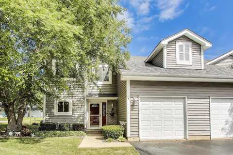 39531 N Bishop Court, Lake Villa, IL 60046