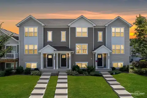 593 Spring Leaf Drive, Joliet, IL 60431