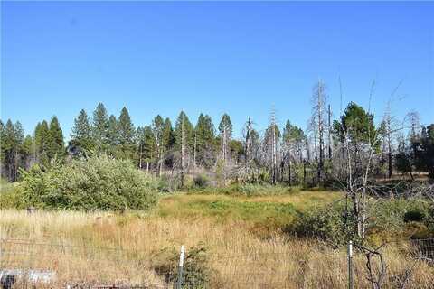 0 Centurion Way, Berry Creek, CA 95916
